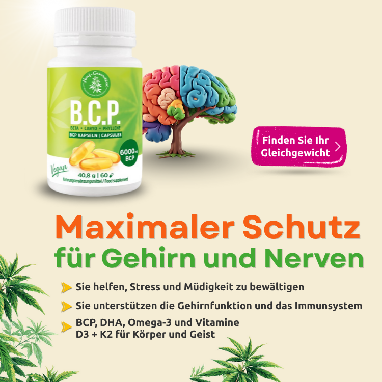 BCP Banner – Mobil